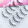 Musegetes False Eyelashes, 4D False Eyelashes, Natural False Eyelashes, Ultra