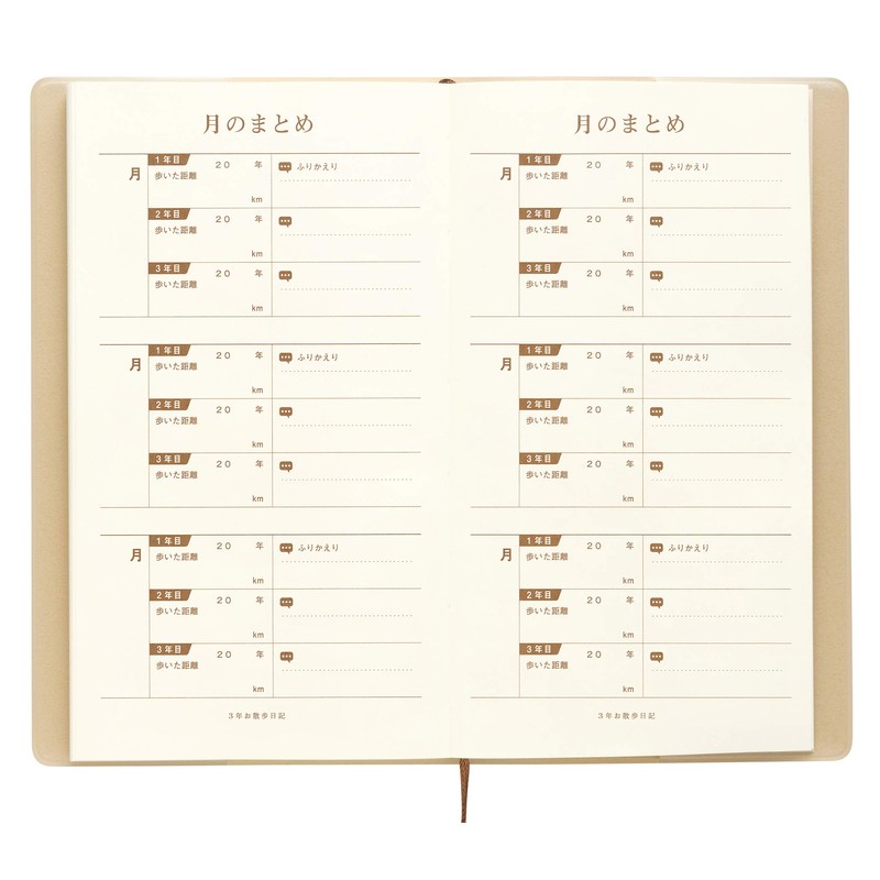 3 year walking diary