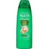 Garnier Hair Care Fructis Brazilian Smooth Shampoo, 13 Fluid Ounce