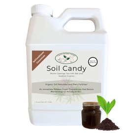Worm Castings Tea Plant Juice with Bat and Seabird Guanos. Soil Candy, Quart with Seaweed Extract and Humic Acid. Soil Restorer - Plant Fertilizer - Compost Starter