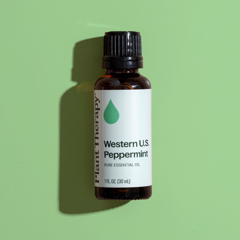 Plant Therapy Peppermint Western U.S. Essential Oil 30 mL (1
