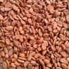 500g De Granos De Cacao Crudo