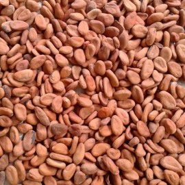 500g De Granos De Cacao Crudo