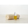 Burt's Bees Complete Nourishment Facial Oil, 15 mL (packaging may