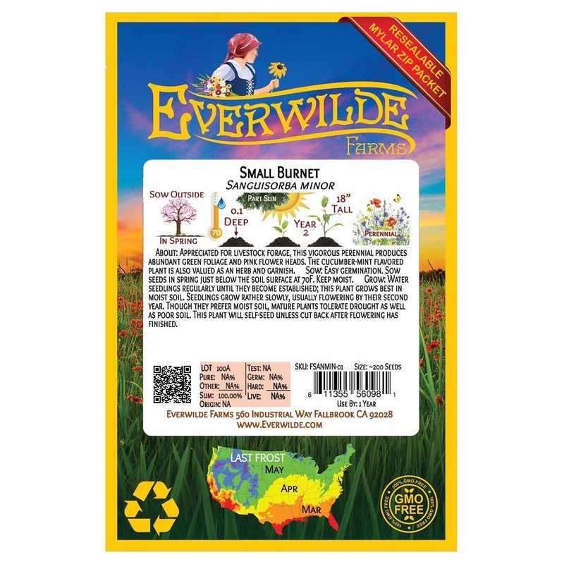 Everwilde Farms - 200 Small Burnet Native Wildflower Seeds -