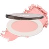 Erinde Silk Touch Highlight Powder Matte Mineral Color Powder Light