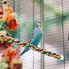 Bird Bungee Climbing Swing - Colorful Parakeet Rope Perch (23.6