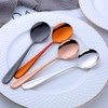 Bisda Curry Spoon, Soup Spoon, Dinner Spoon, 8 Colors, Set