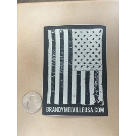 Brandy Melville Deco Vinyl Laptop Sticker Rare Large Size American Flag&small