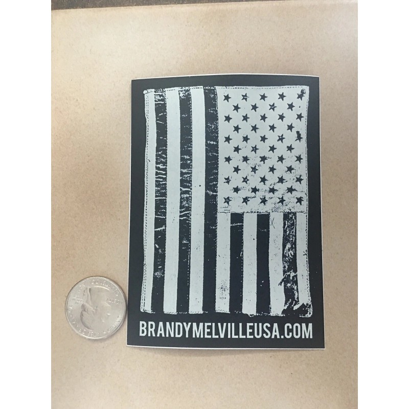 Brandy Melville Deco Vinyl Laptop Sticker Rare Large Size American