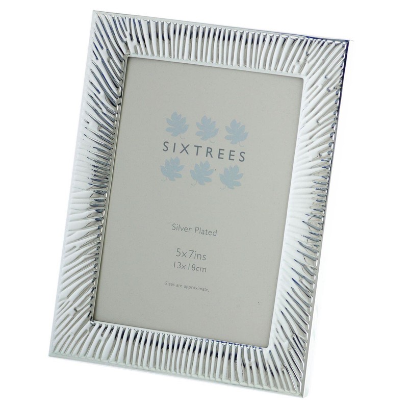 Sixtrees Davis Embossed Silver Plated 5 x 7 inch Art