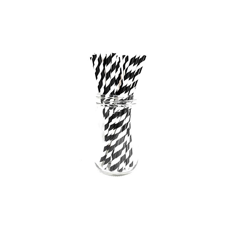 Picture Perfect Party Premium Paper Straws [Pack of 25 Drinking