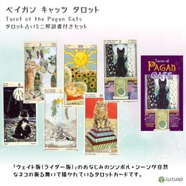 Pagan Cats Tarot Tarot of the Pagan Cats Tarot Divination with Japanese Manual (English Language Not Guaranteed)