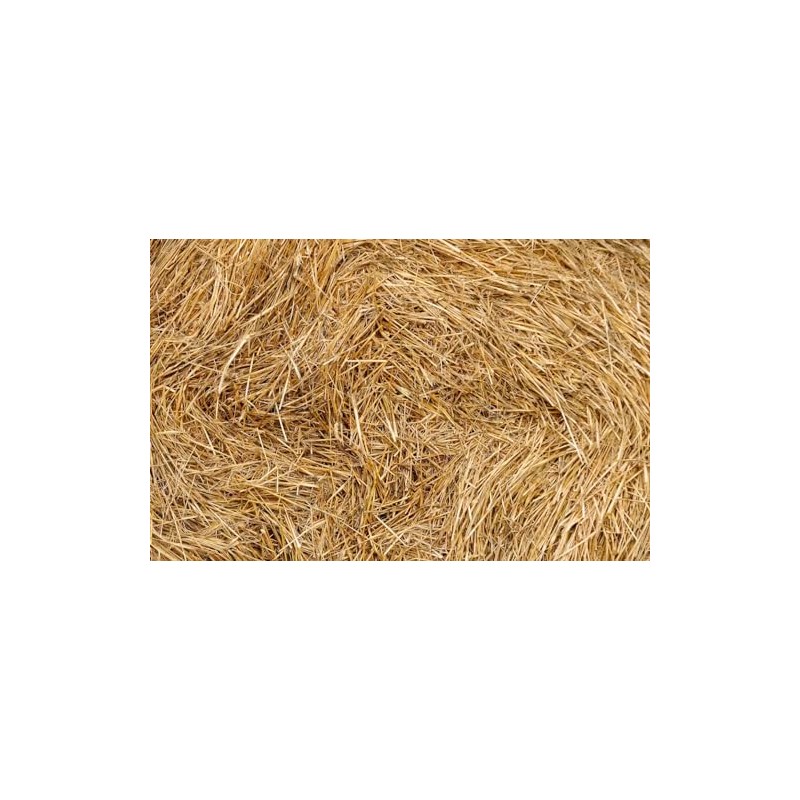 Organic Wheat Straw- 100% Natural Wheat Straw Ideal for Gardening,