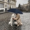 Pioggistar Windproof Umbrella for Men and Women, Inverted Mechanic Umbrellas