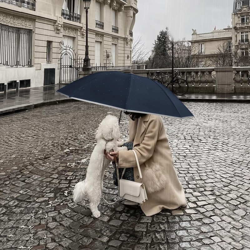 Pioggistar Windproof Umbrella for Men and Women, Inverted Mechanic Umbrellas