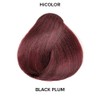 L'oreal Paris Excellence Hicolor Tinte permanente para el cabello, ciruela