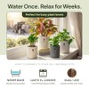 Self-Watering Planter for Leca and Pon - 4-Pack (6 inch)