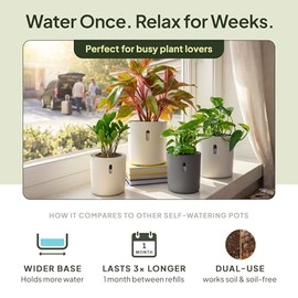 Self-Watering Planter for Leca and Pon - 4-Pack (6 inch)