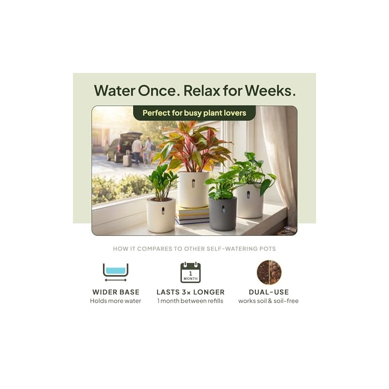 Self-Watering Planter for Leca and Pon - 4-Pack (6 inch)