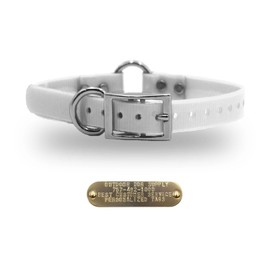 1" Solid Premium Glow Tuff Center Ring Dog Collar with Brass Name Plate White 18" Standard 3/4" Tag