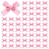 60 Pcs Bow Hair Clips for Women Girls, Satin Mini
