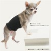 Cucouture THZ Silk Haramaki Pink M 2023 Autumn Winter Dog