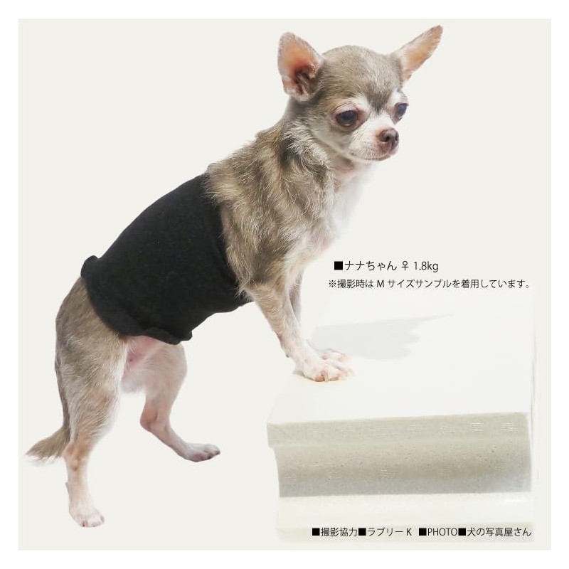 Cucouture THZ Silk Haramaki Pink M 2023 Autumn Winter Dog