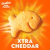 Goldfish Flavor Blasted Xtra Cheddar Cheese Crackers, Baked Snack Crackers,