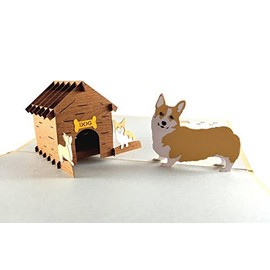 iGifts And Cards Mama Corgis N Puppies 3D Pop Up Greeting Card - Cute, Canine, Pet, Dog, Doggies, Half-Fold, Happy Birthday, Just Because, Thinking of You, Baby Shower, Friendship, Fun