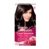 Garnier Color Sensation Vivids Permanente Haarfarbe
