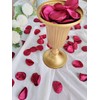 Capesaro Burgundy Rose Petals,Red Flower Silk Petals,Scatter Petals for Wedding