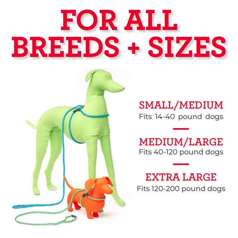 Harness Lead No Pull Dog Harness and Leash Set, Anti