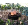 Biogize Compost Worm Tower Worms Compost Directly in Your Garden