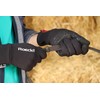 Roeckl Sports equestrian gloves WELDON, winter riding glove, berry 8