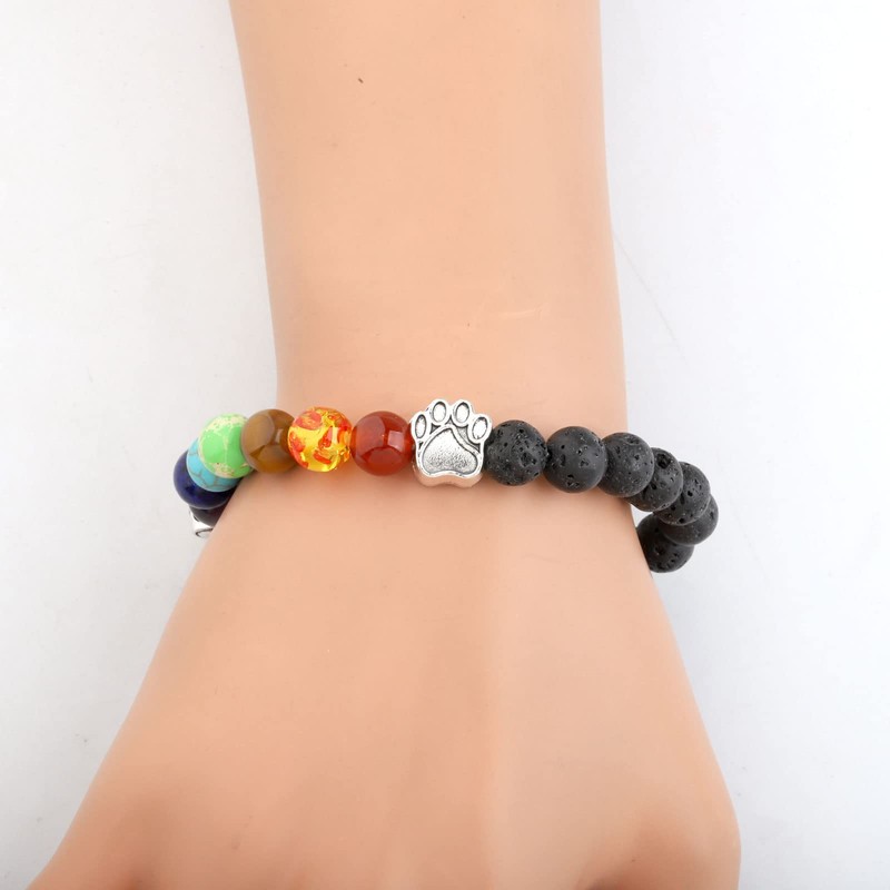 Gzrlyf Pet Memorial Bracelet Rainbow Bridge Pet Memorial Gifts I