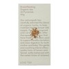 Love Tea Breastfeeding Pyramid Tea Bags, 20 Tea Bags