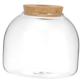 Toddmomy 1pc Glass Terrarium Jar with Wood Stopper Hydroponic Plants Container Terrarium Glass Containers