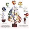 Black Tourmaline Tree - Haeling Crystal - Gemstone Money Tree