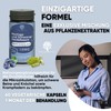 Blueberry Extract & Moringa Capsules for Leg Circulation - High