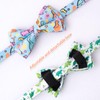 Faygarsle 2 Pack Cat Collar with Bell Breakaway Bowtie for