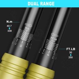 ANPUDS 1/2-Inch Drive Click Torque Wrench, 30-250 Ft-Lb/40.7-339 Nm, Dual-Direction Torque Wrench with Quick Release Reversible Head for Car, Truck, Tractor