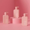 MONDAY Haircare Volume Shampoo 12oz for Thin, Fine, and Oily