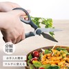 Takeda Corporation RH-20 Kitchen Scissors, Removable, Gray, 7.9 x 3.1