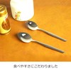 Noji Spoon Wave Pick Type CUT-31