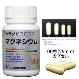 Body Gayokob Magnesium 2.4 oz (68 g) (0.04 oz (1.15 g) x 60 Capsules)