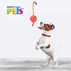 Fancy Pets FL9301 Juguete Bola Flotante