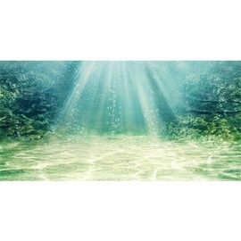 AWERT Aquarium Background Aquatic Plant Bubble Underwater Ocean Floor Fish Tank Background Durable Polyester Background