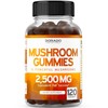 Mushroom Gummies 120 Count | Premium Mushroom Complex with Lion’s