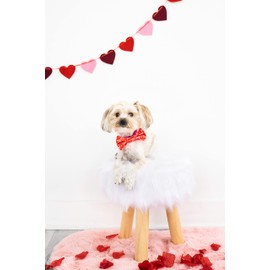 Pearhead Valentines Day Pet Bow Tie, Slide On Dog Apparel Accessories, Holiday Dog and Cat Apparel, Red Woof You Hearts Bowtie, XS/S